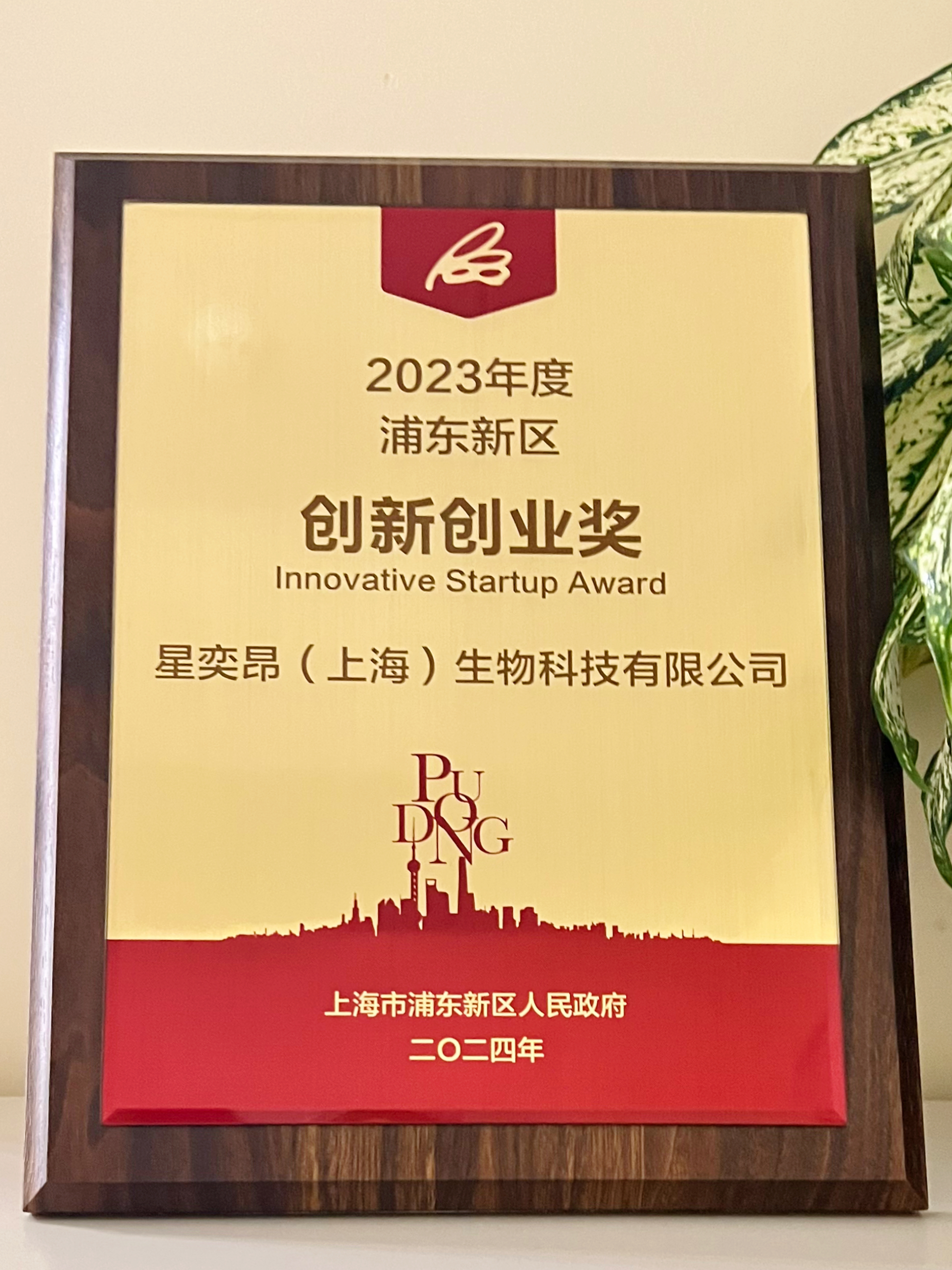 经济凸起 创新创业奖.jpg