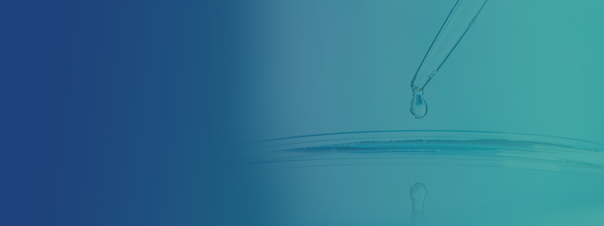 banner01.jpg
